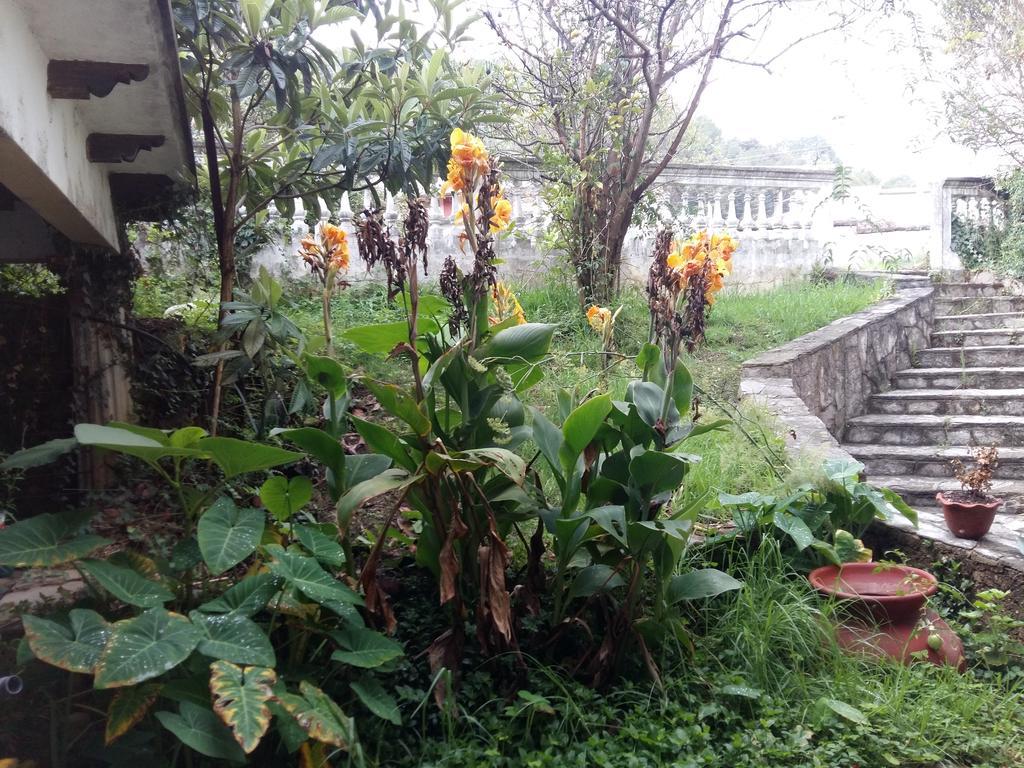 Hosteria Del Virrey - B&B San Cristóbal de Las Casas Екстериор снимка